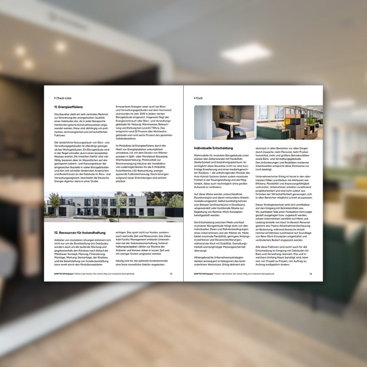 Whitepaper Seiten2